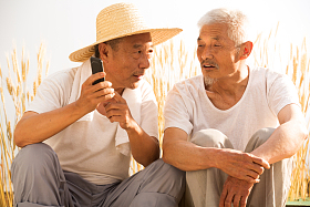 两位老坐在麦田