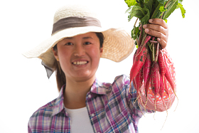 农民拿着一捆小萝卜