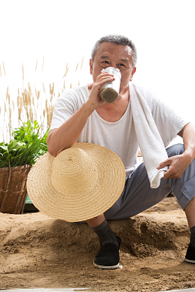 农民和他的蔬菜图片