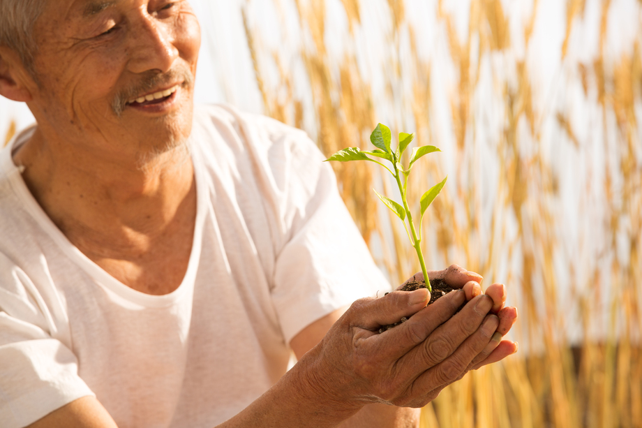 老农民手捧小苗图片 老农民手捧小苗图片