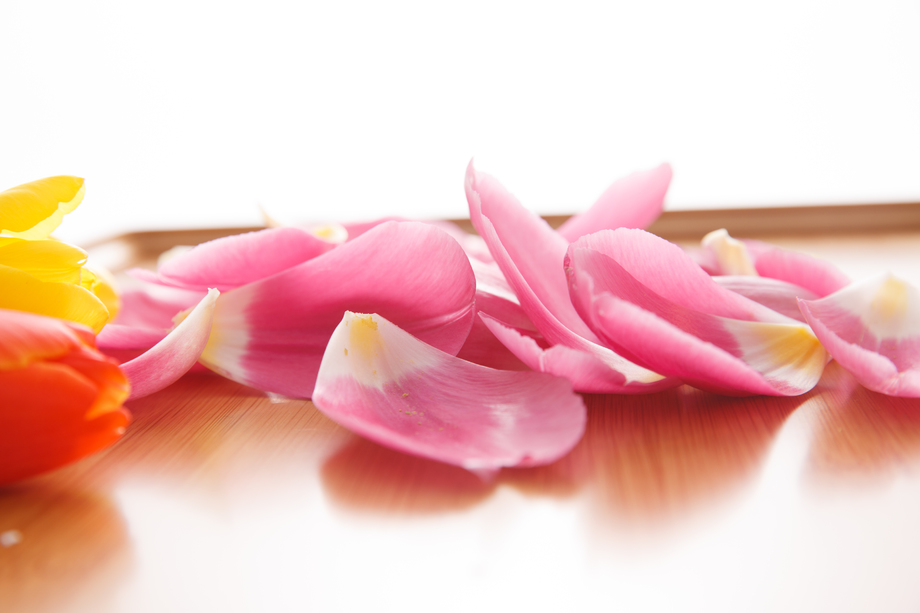 花瓣照片