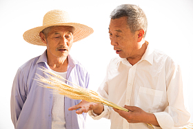 两位老农民拿着麦穗