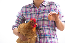 中年女人拿着一只鸡