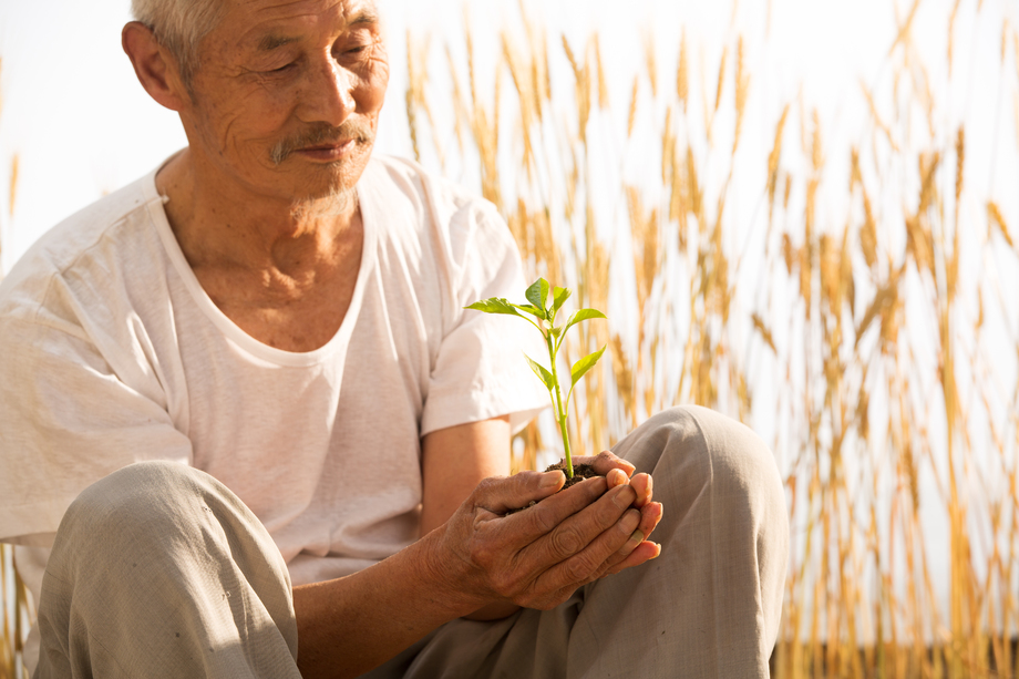 老农民手捧小苗图片