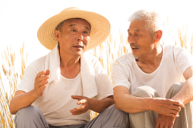 两位老坐在麦田