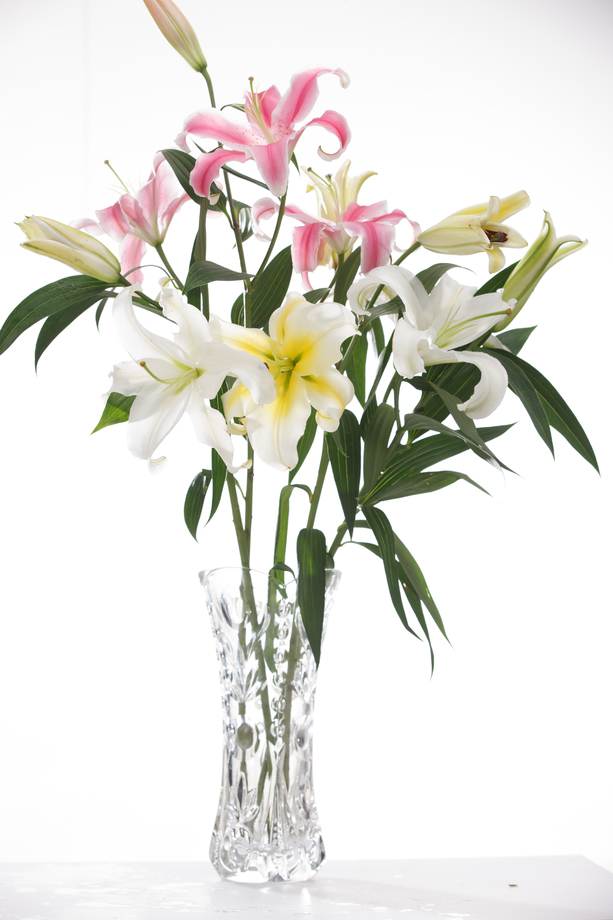 百合花图片