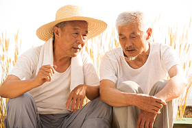 两位老坐在麦田里图片