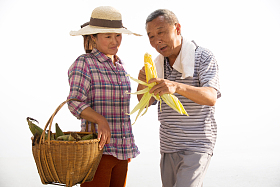 农民拿着玉米图片