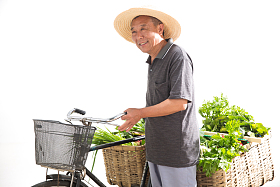 老农民推着自行车