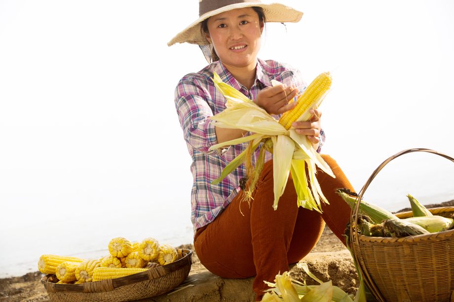 中年女人拿着玉米图片