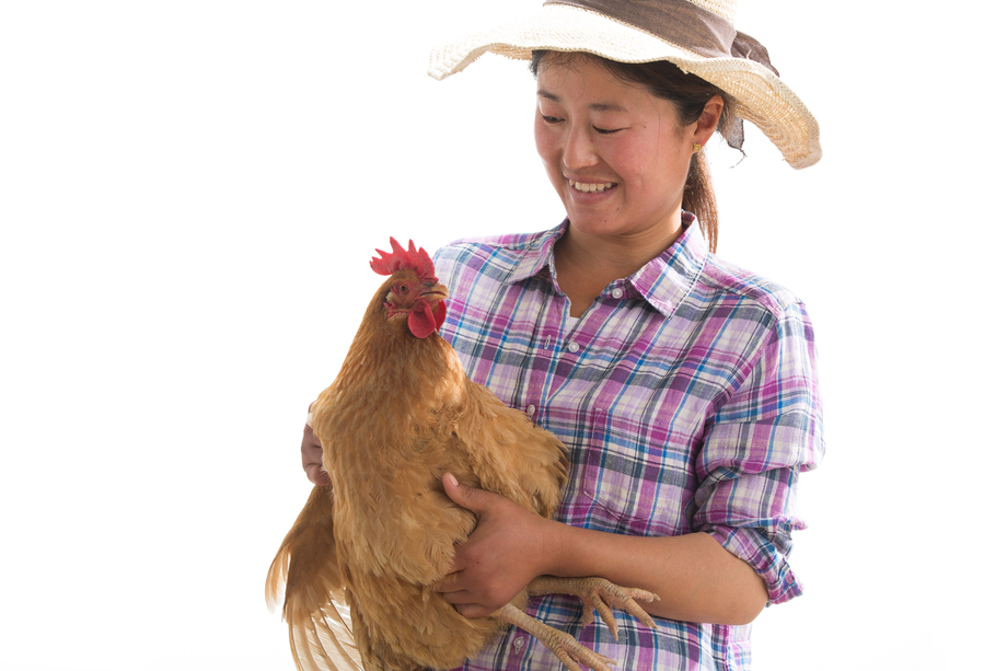 中年女人拿着一只鸡图片 中年女人拿着一只鸡图片