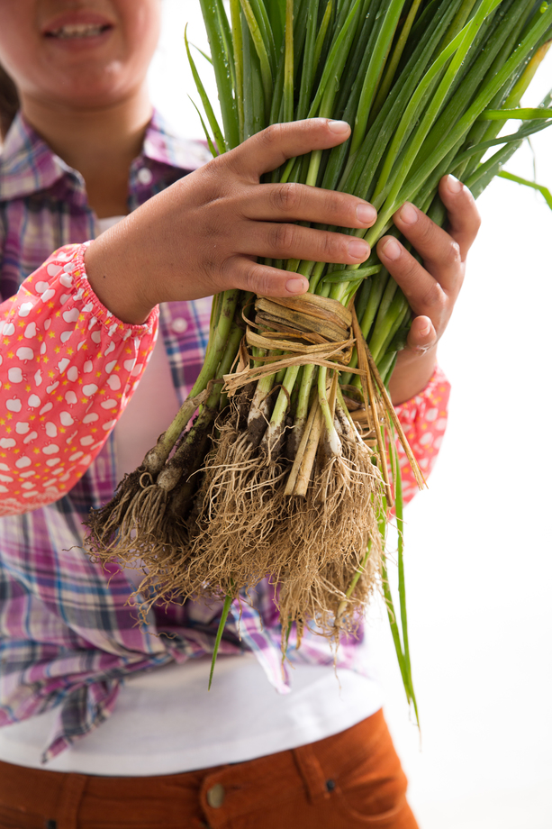 中年女人拿着一捆小葱 中年女人拿着一捆小葱