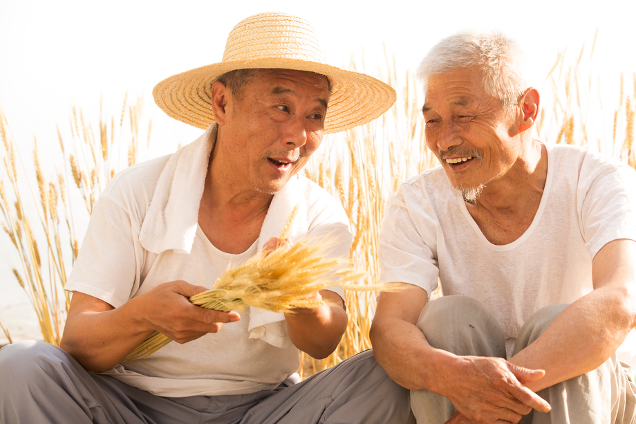 两位老农民拿着麦穗图片 两位老农民拿着麦穗图片