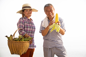 农民拿着玉米图片