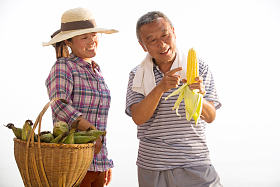 农民拿着玉米图片