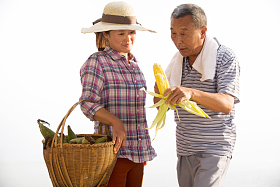 农民拿着玉米照片