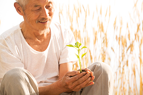 老农民手捧小苗