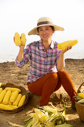 中年女人拿着玉米图片