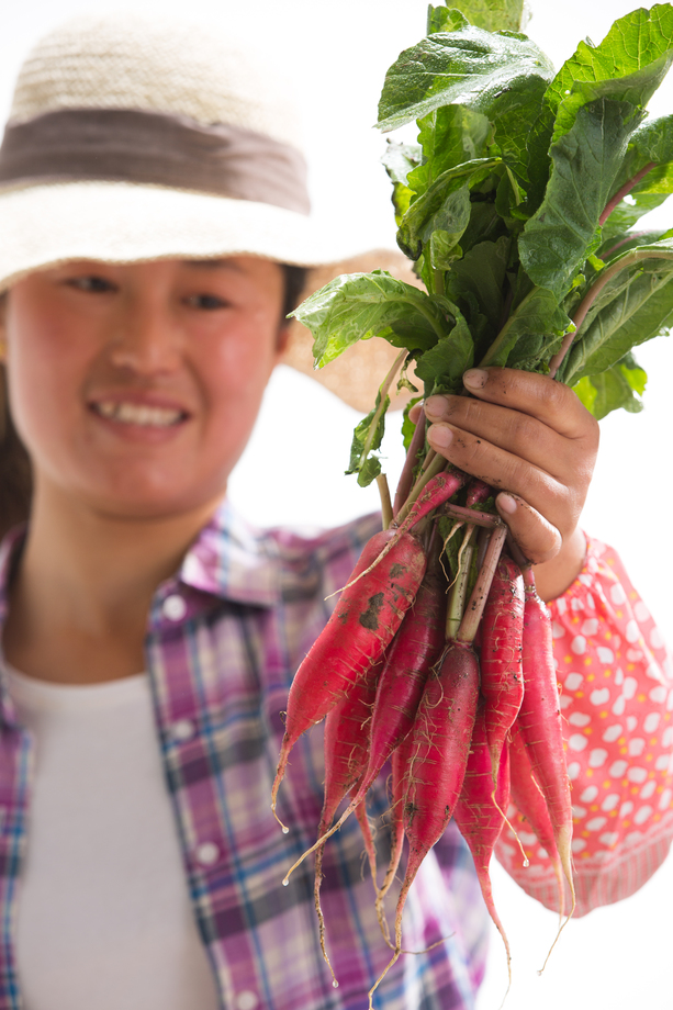 农民拿着一捆小萝卜照片 农民拿着一捆小萝卜照片