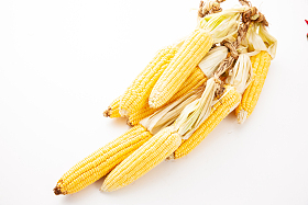 玉米图片