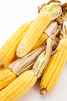 玉米