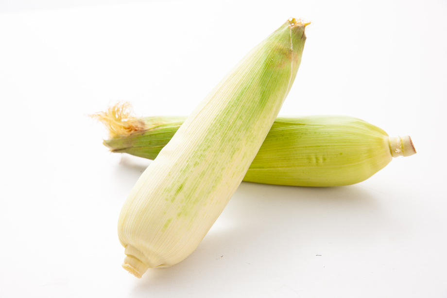 玉米图片 玉米图片