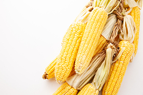 玉米图片