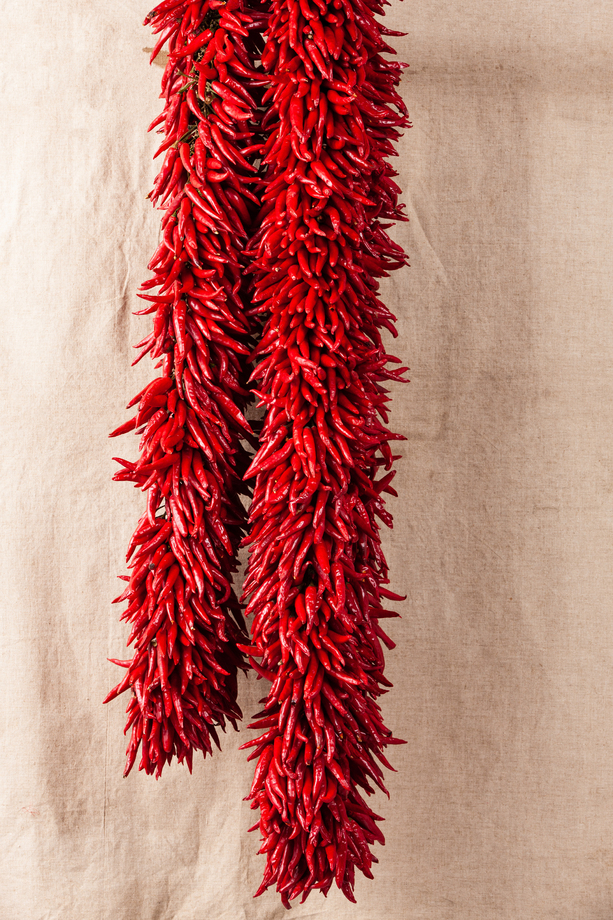 红辣椒图片 红辣椒图片