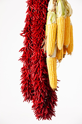 农作物丰收图片