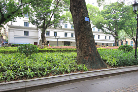 广东省广州沙面城市建筑