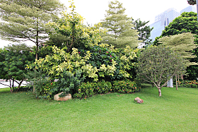 广东省广州珠江新城城市建筑图片