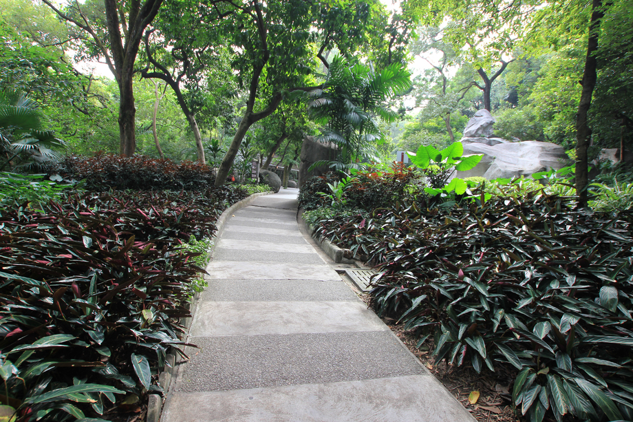 广东省广州越秀公园图片 广东省广州越秀公园图片