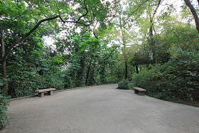 广东省广州越秀公园