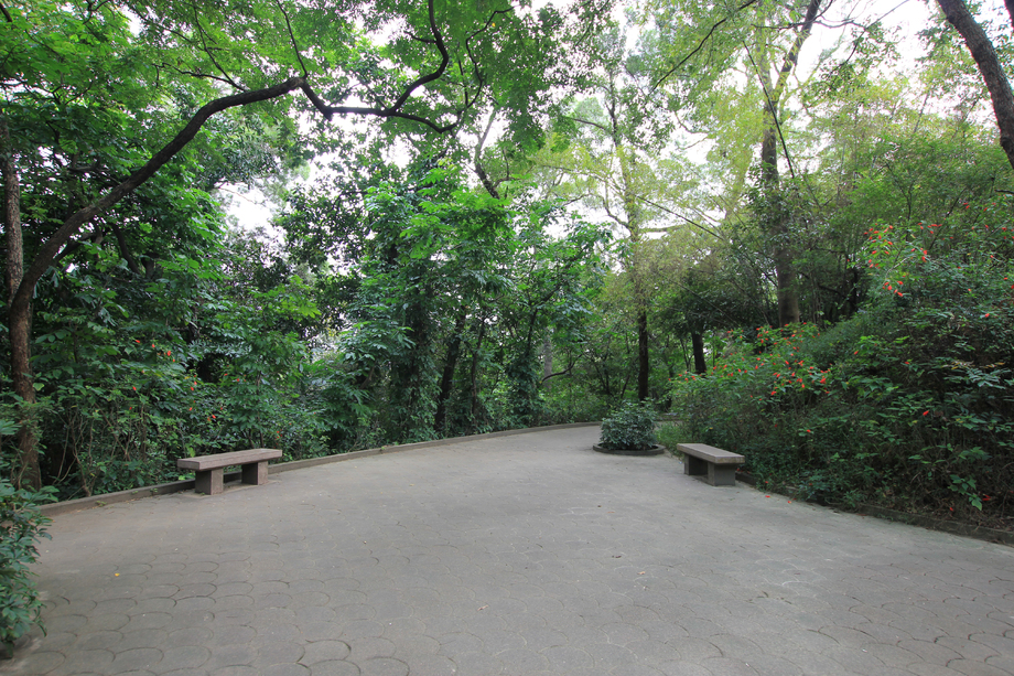 广东省广州越秀公园 广东省广州越秀公园