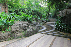 广东省广州越秀公园图片