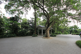 广东省广州越秀公园图片