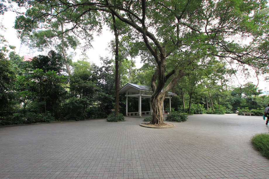 广东省广州越秀公园图片 广东省广州越秀公园图片