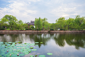 江苏省无锡蠡园照片