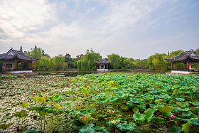 江苏省无锡蠡园照片