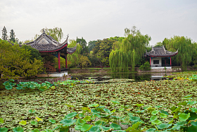 江苏省无锡蠡园照片