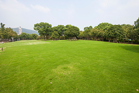 江苏省无锡灵山风景区照片