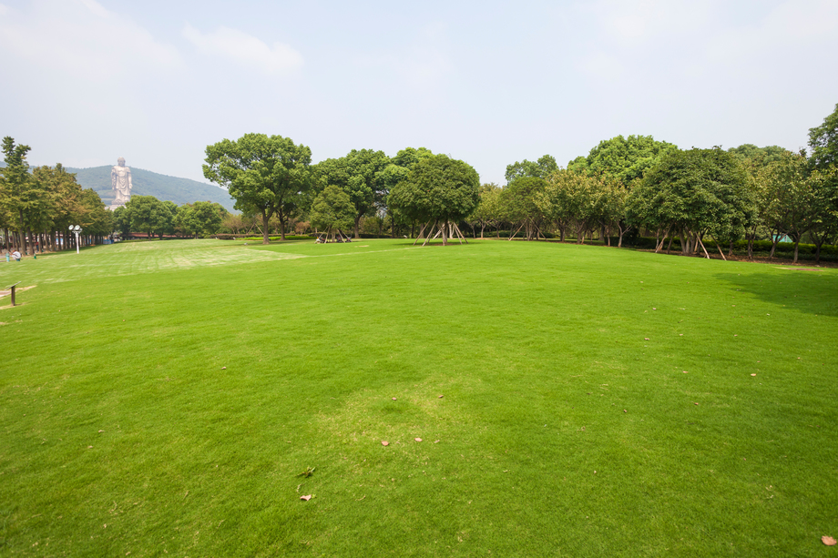 江苏省无锡灵山风景区照片
