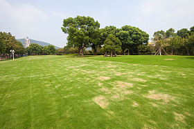 江苏省无锡灵山风景区图片