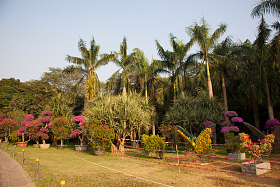 广东省深圳莲花山公园图片