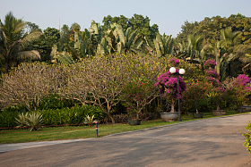 广东省深圳莲花山公园图片