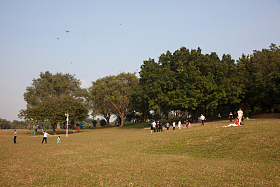 广东省深圳莲花山公园图片