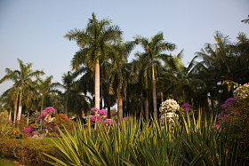 广东省深圳莲花山公园图片