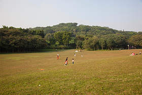 广东省深圳莲花山公园图片