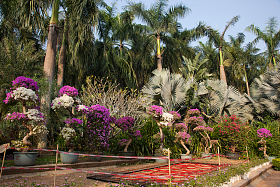 广东省深圳莲花山公园图片