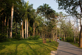 广东省深圳莲花山公园图片
